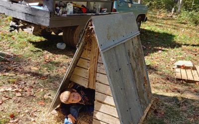 The Easiest and Best Dog House For Cold Temperatures